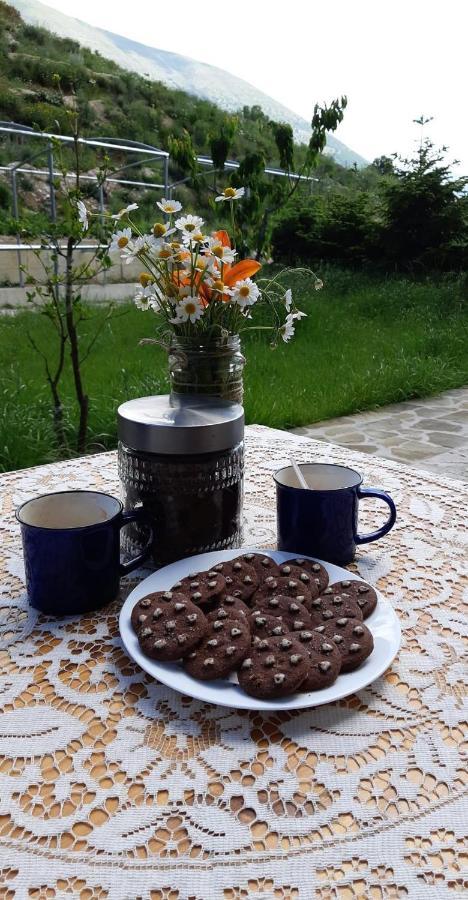 Bujtina Hader Xhebro Hostel Tepelene Buitenkant foto