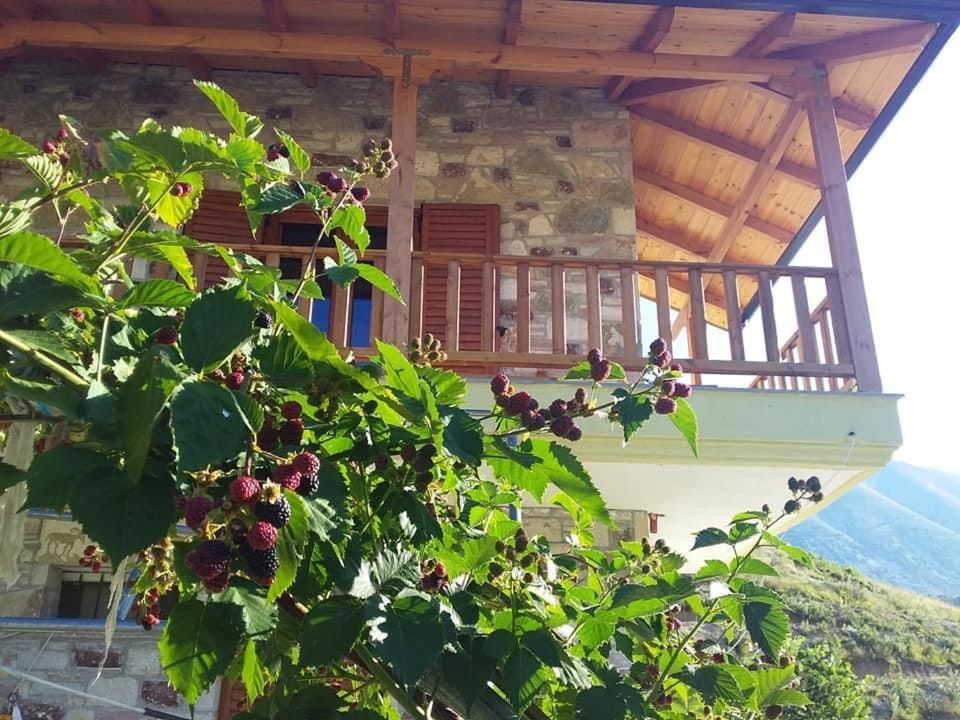Bujtina Hader Xhebro Hostel Tepelene Buitenkant foto