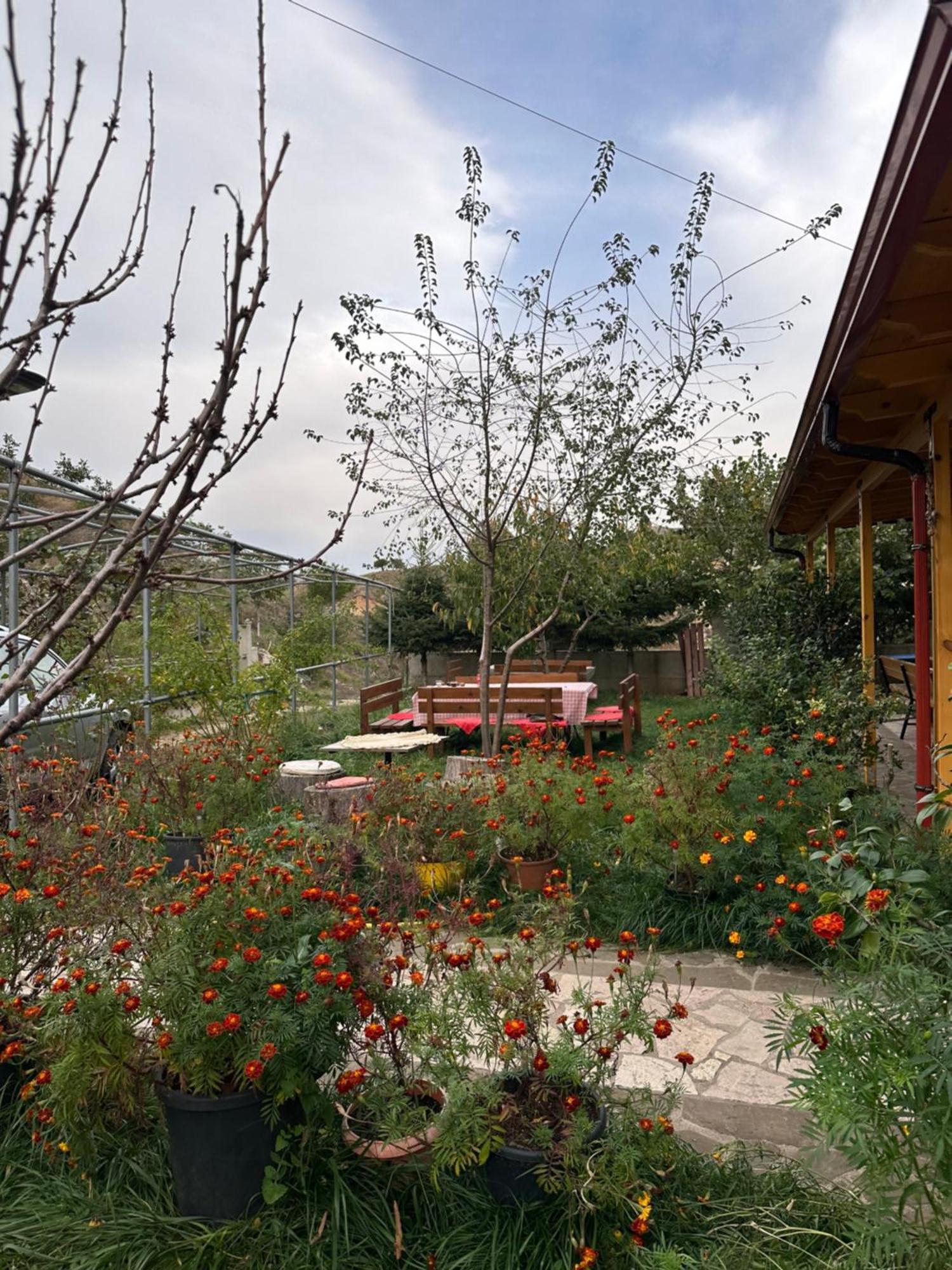 Bujtina Hader Xhebro Hostel Tepelene Buitenkant foto